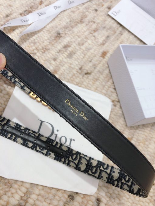 DIOR D-Fence Belt. Calfskin, & 'DIOR' buckle.