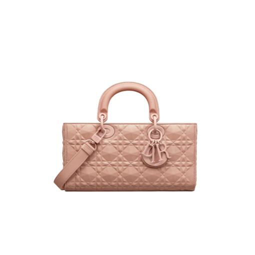 DIOR Lady D-Joy Bag.