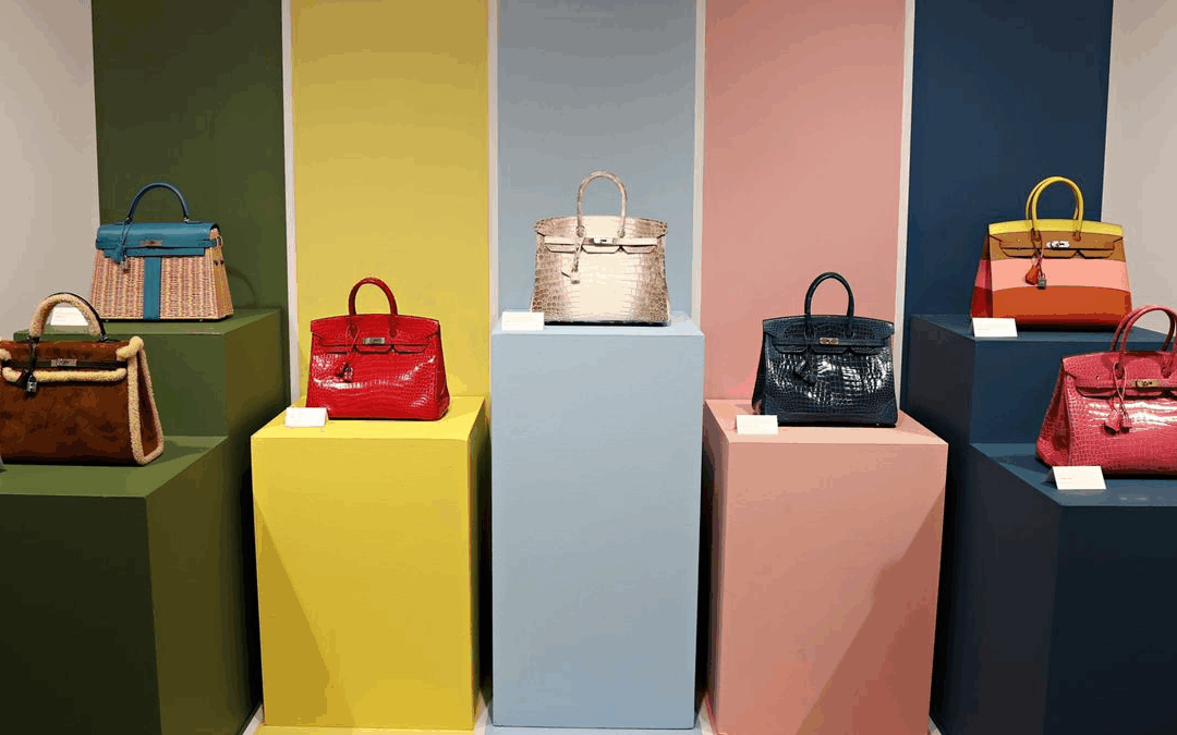 Birkin Patrol: Guarding the Gates of Exclusivity